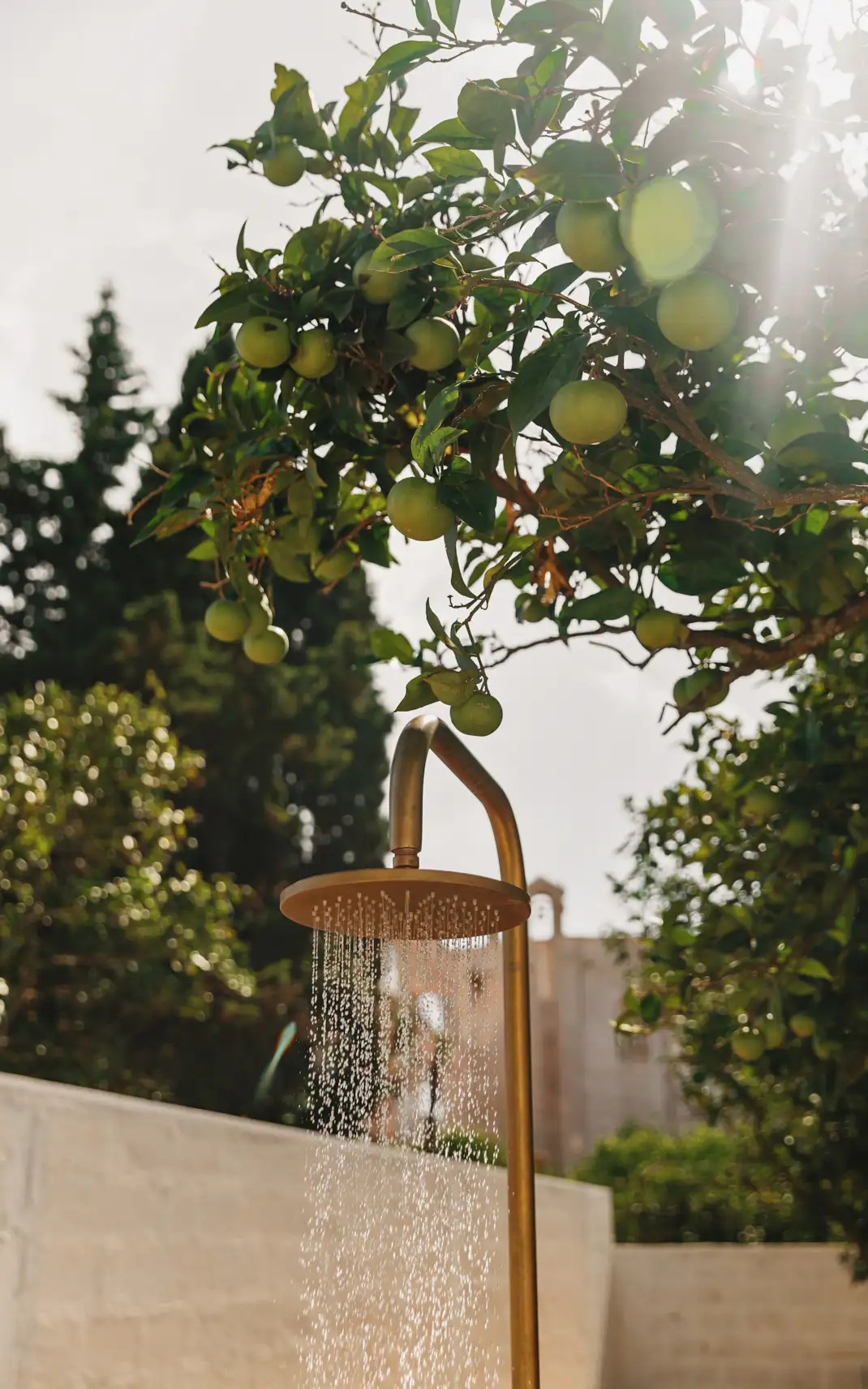 Palazzo San Vito X Valari_Alex Reyto-67.webp