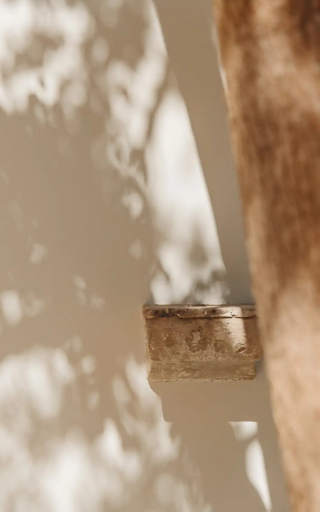 Palazzo San Vito X Valari_Alex Reyto-72.webp