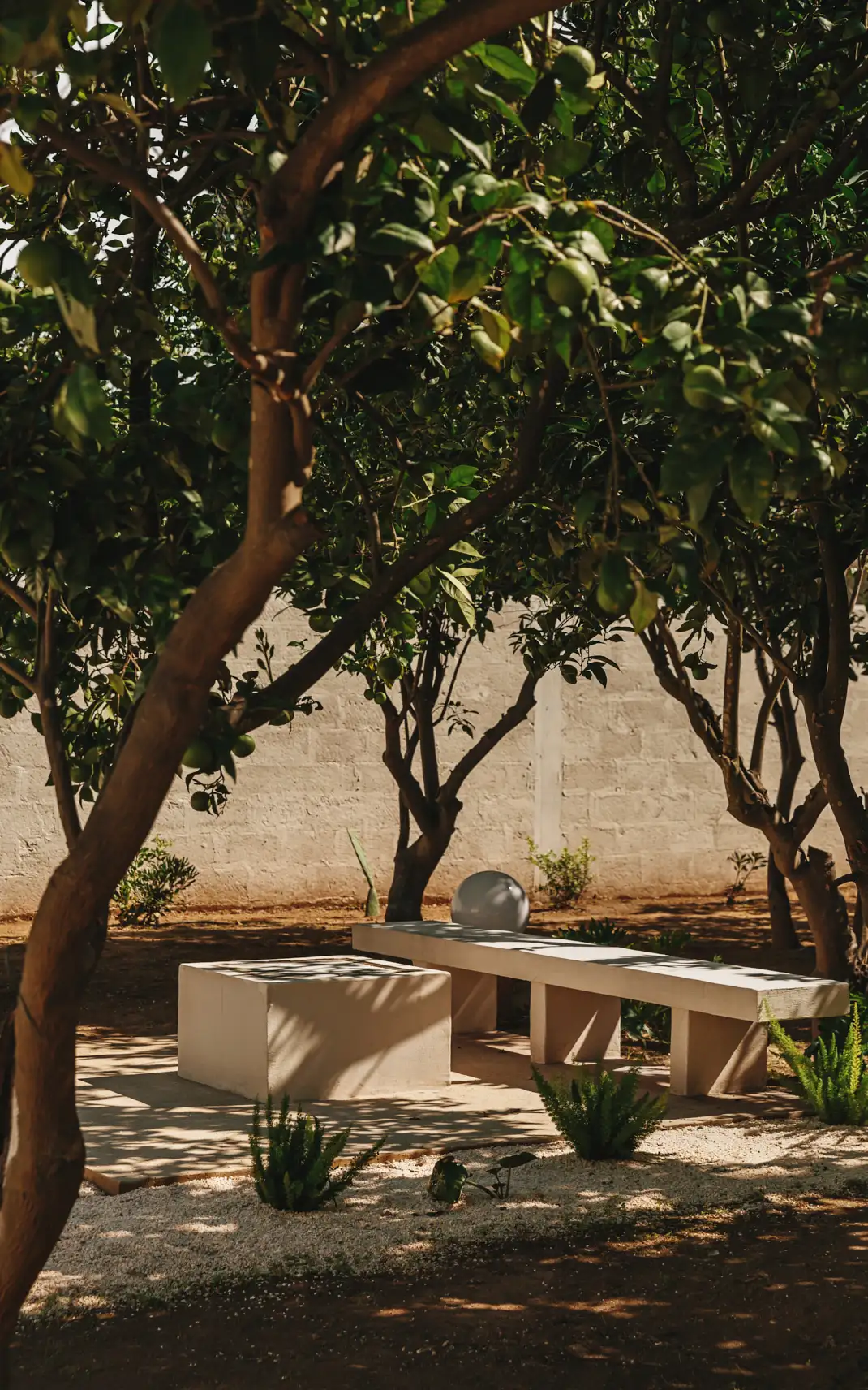 Palazzo San Vito X Valari_Alex Reyto-78.webp