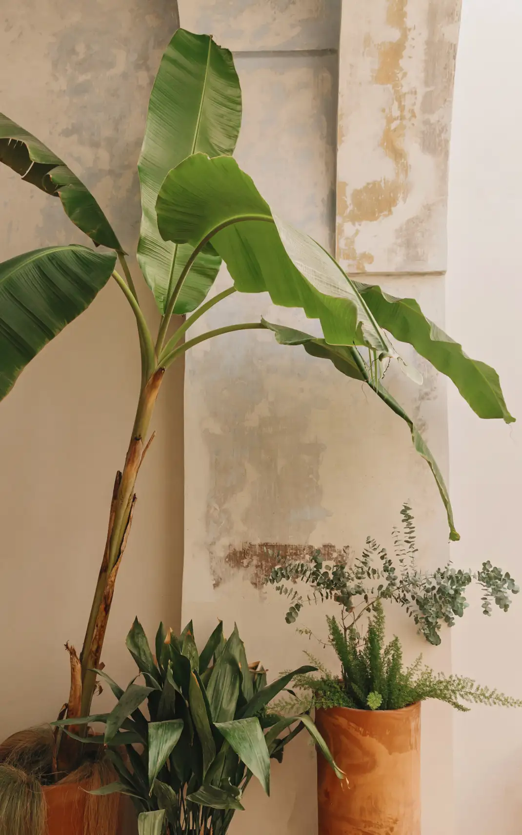 Palazzo San Vito X Valari_Alex Reyto-87.webp